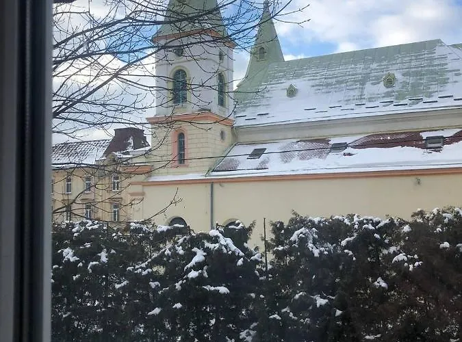 Han/Misafirhane Polska Poduszka Lviv
